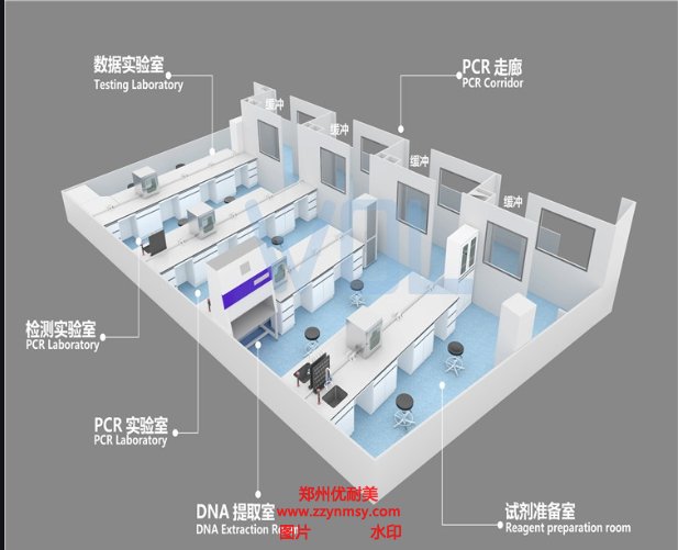 PCR實驗室裝修