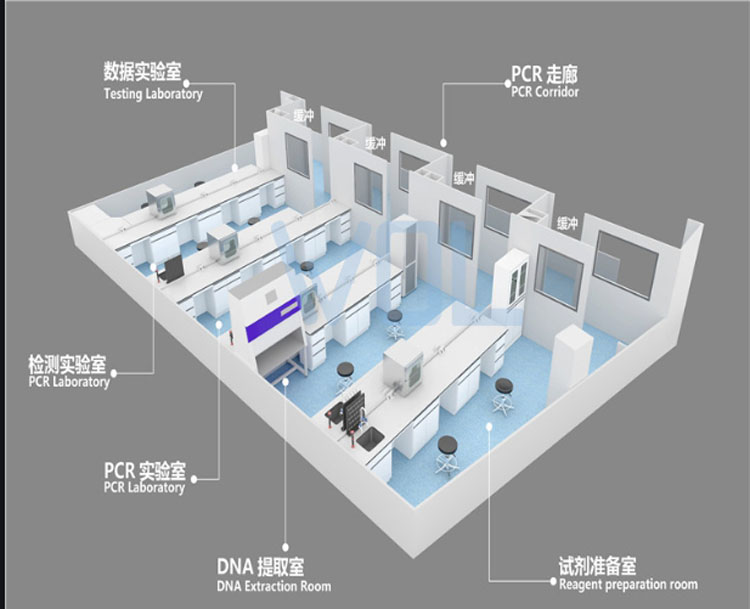 PCR實驗室建設效果圖